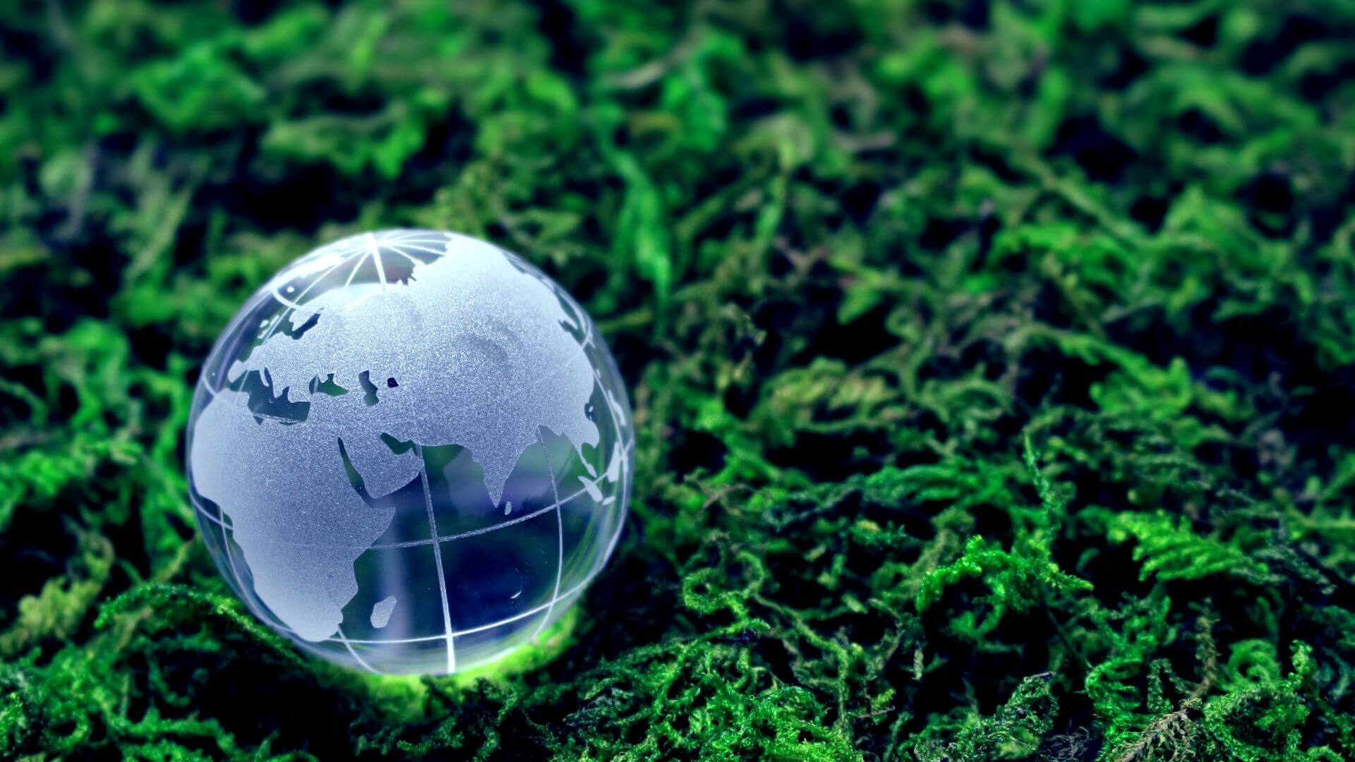 Μελέτες ESG Rating
